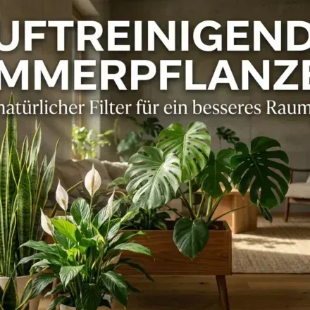 Luftreinigende Zimmerpflanzen: Dein natürlicher Filter für ein besseres Raumklima