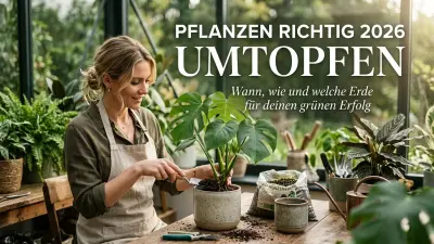 Pflanzen richtig umtopfen 2026: Wann, wie und welche Erde für deinen grünen Erfolg?